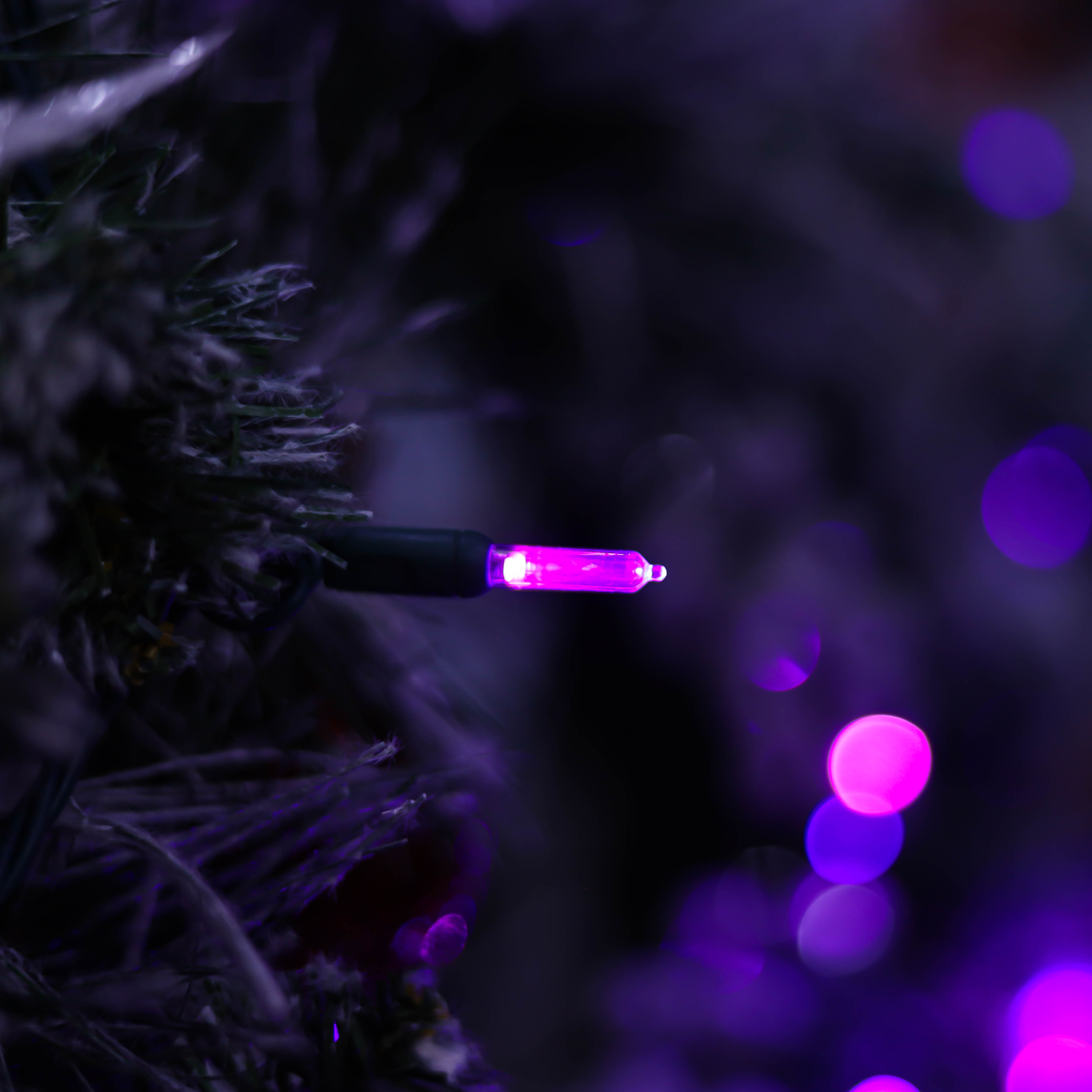 La stringa di UL T5 LED illumina la luce viola di Natale della luce di Halloween
