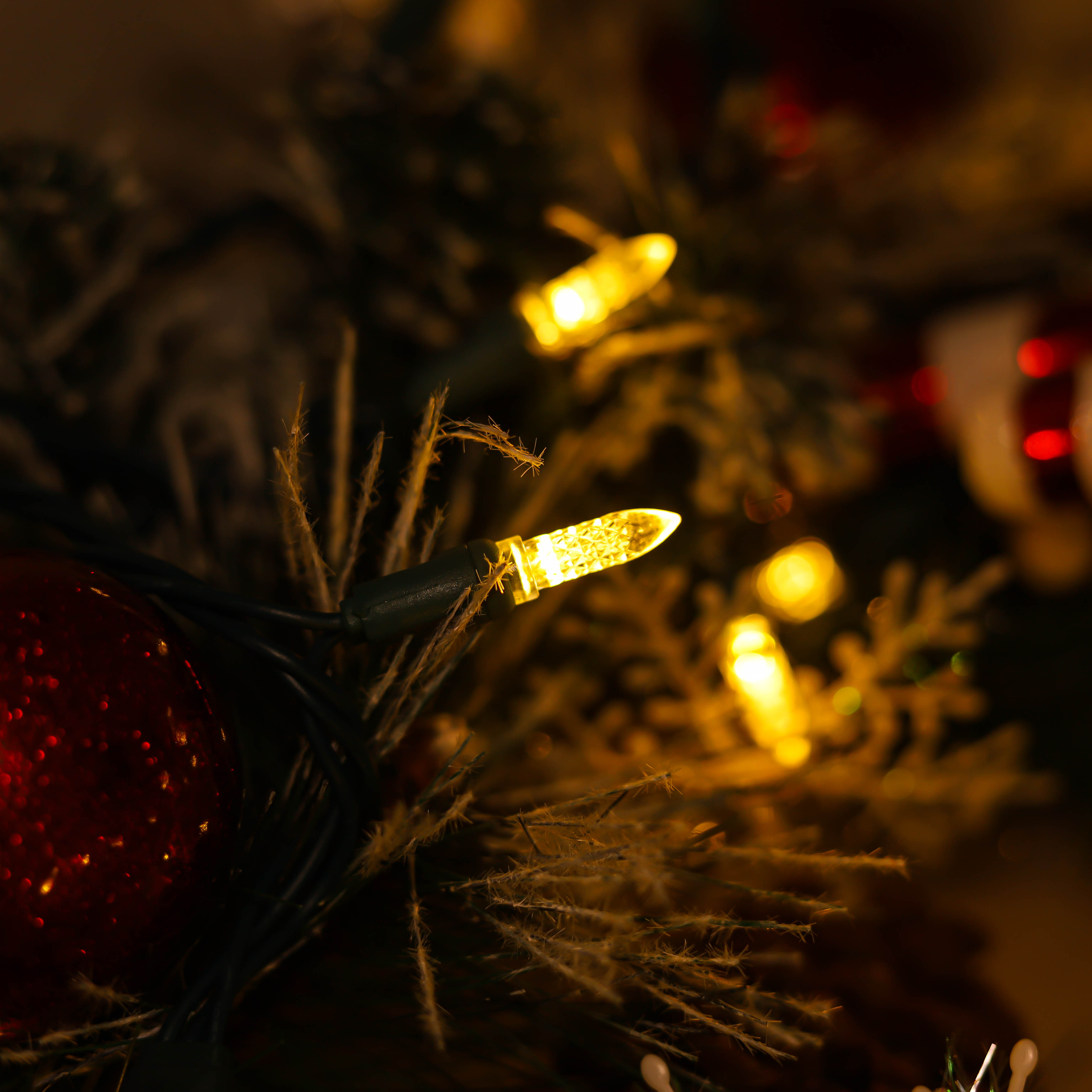 Luci natalizie a LED M5 bianche calde certificate UL