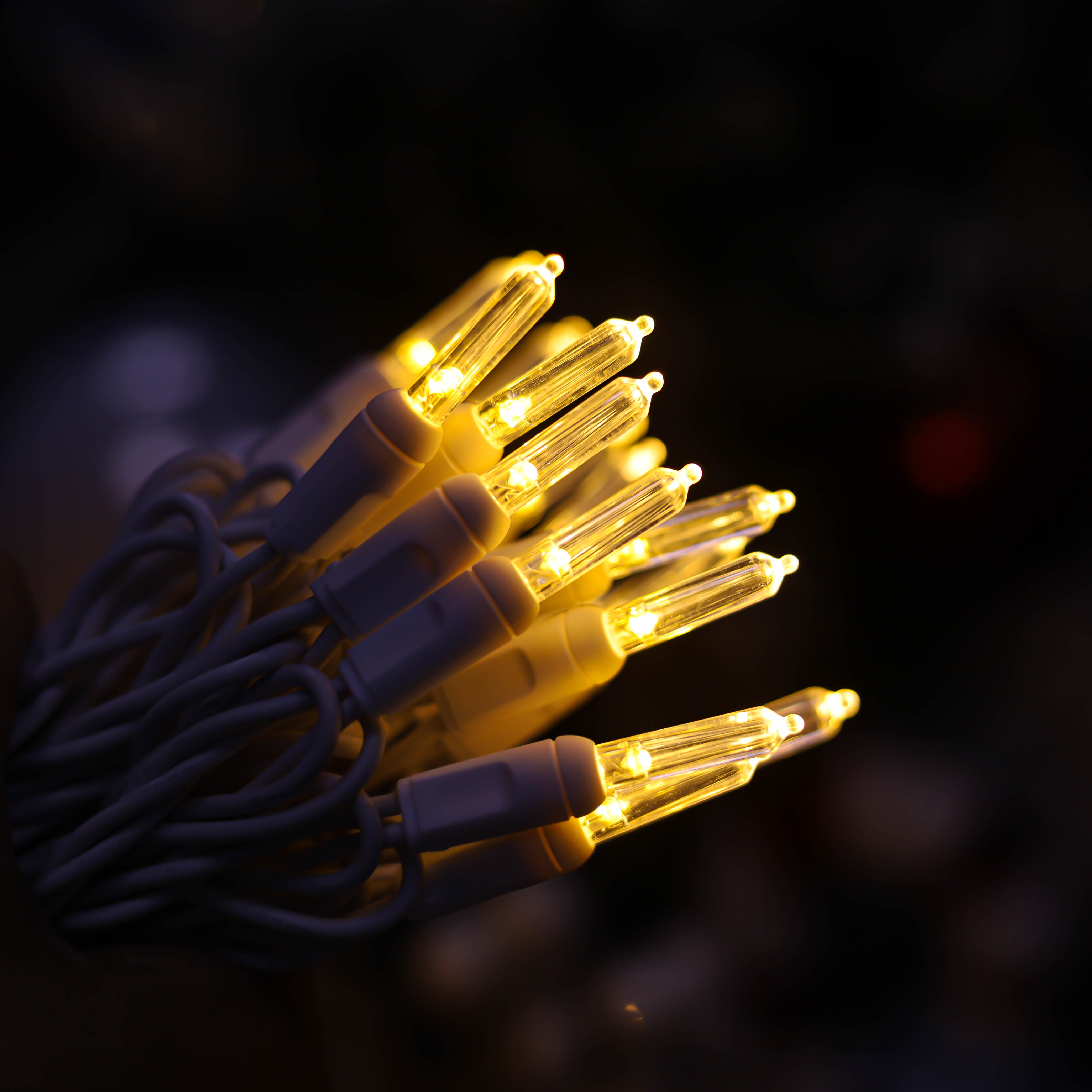 T5 Luci a LED di Natale White White White White