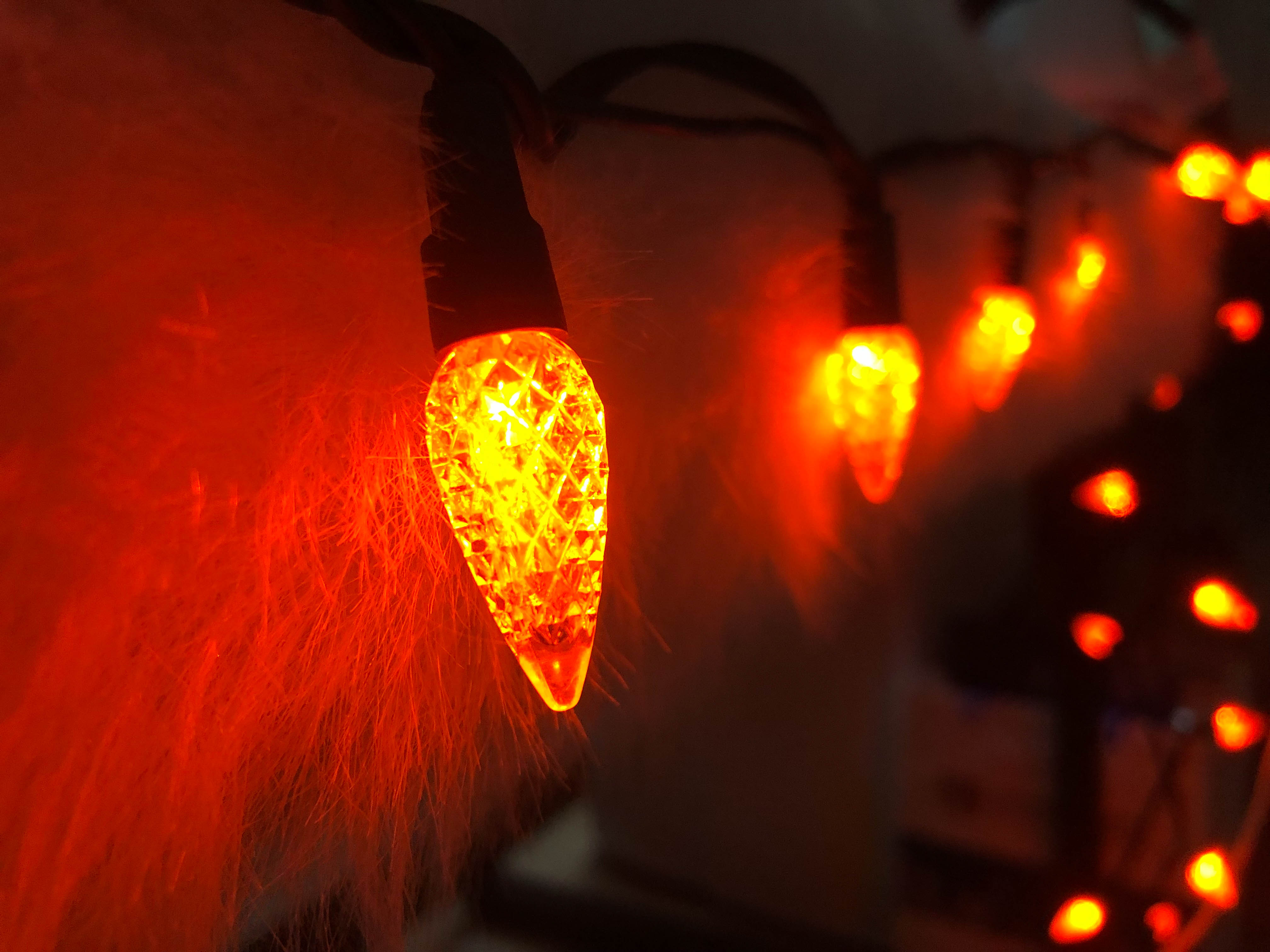 Filo da 22 AWG UL impermeabile per uso esterno LED arancione C6 luci a corda LED a fragola 