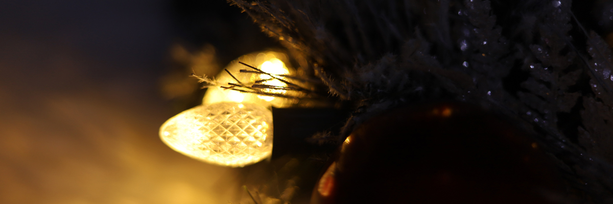 Lampadine di ricambio natalizie C7 