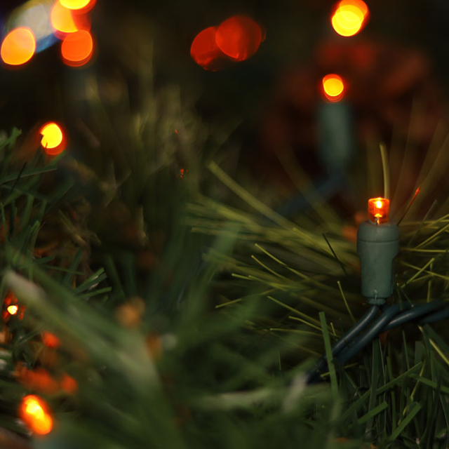 La stringa arancione grandangolare di 5MM LED si illumina all'aperto