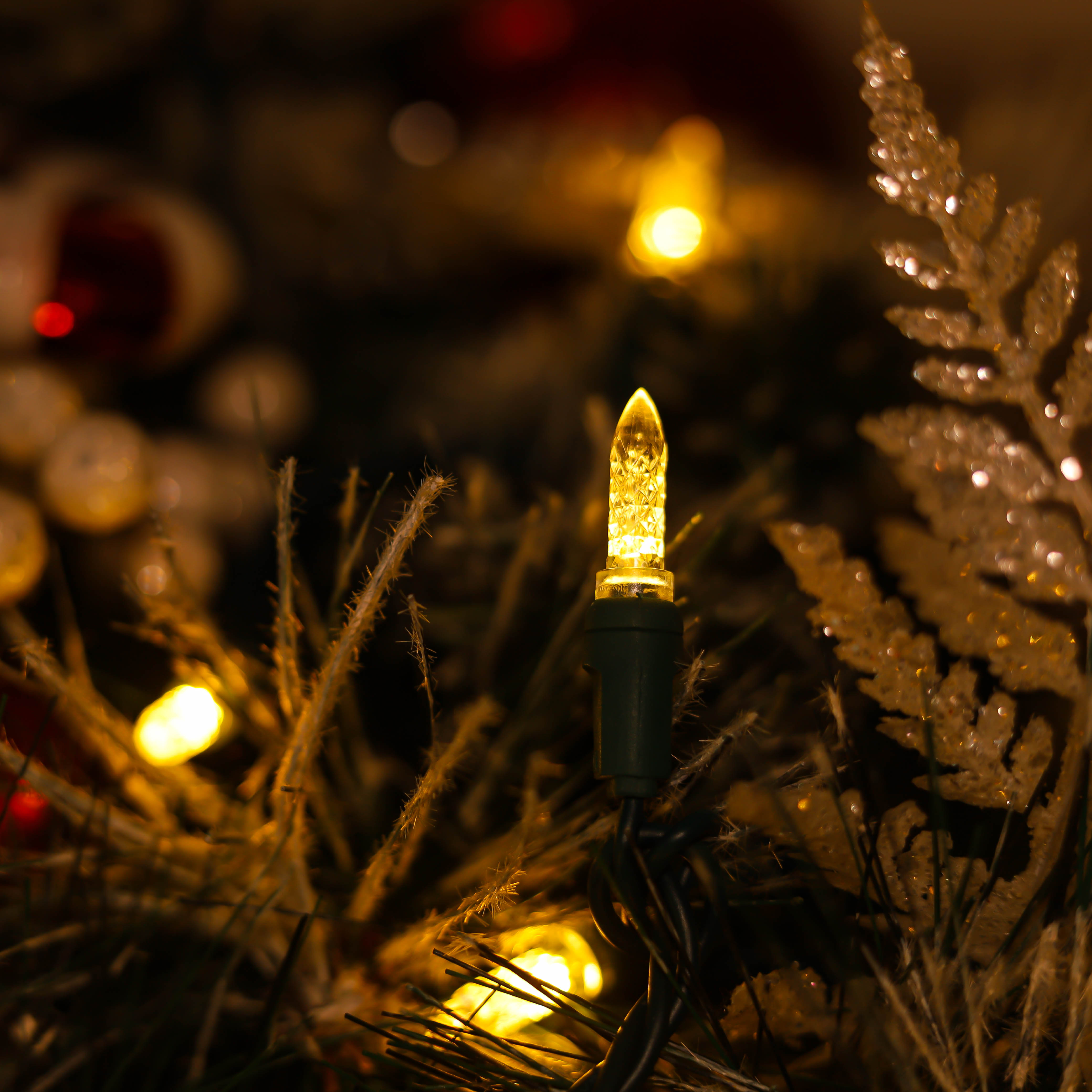 Luci natalizie a LED M5 bianche calde certificate UL