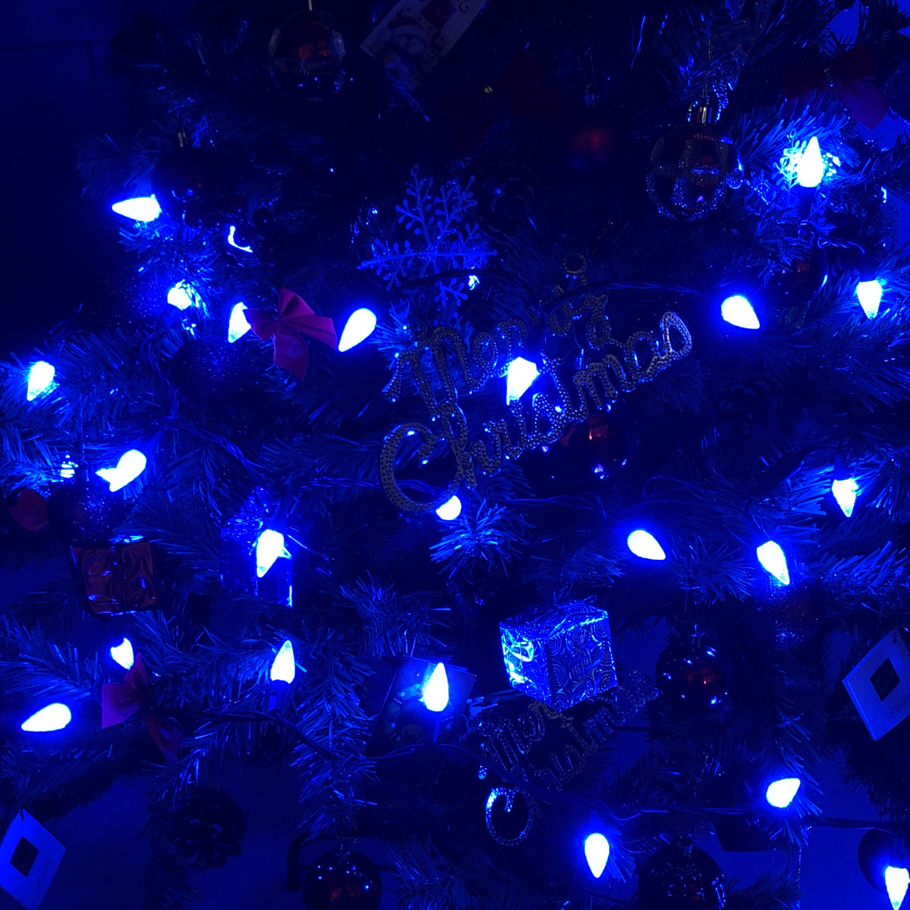 Ul C6 Blue Strawberry Christmas Lights