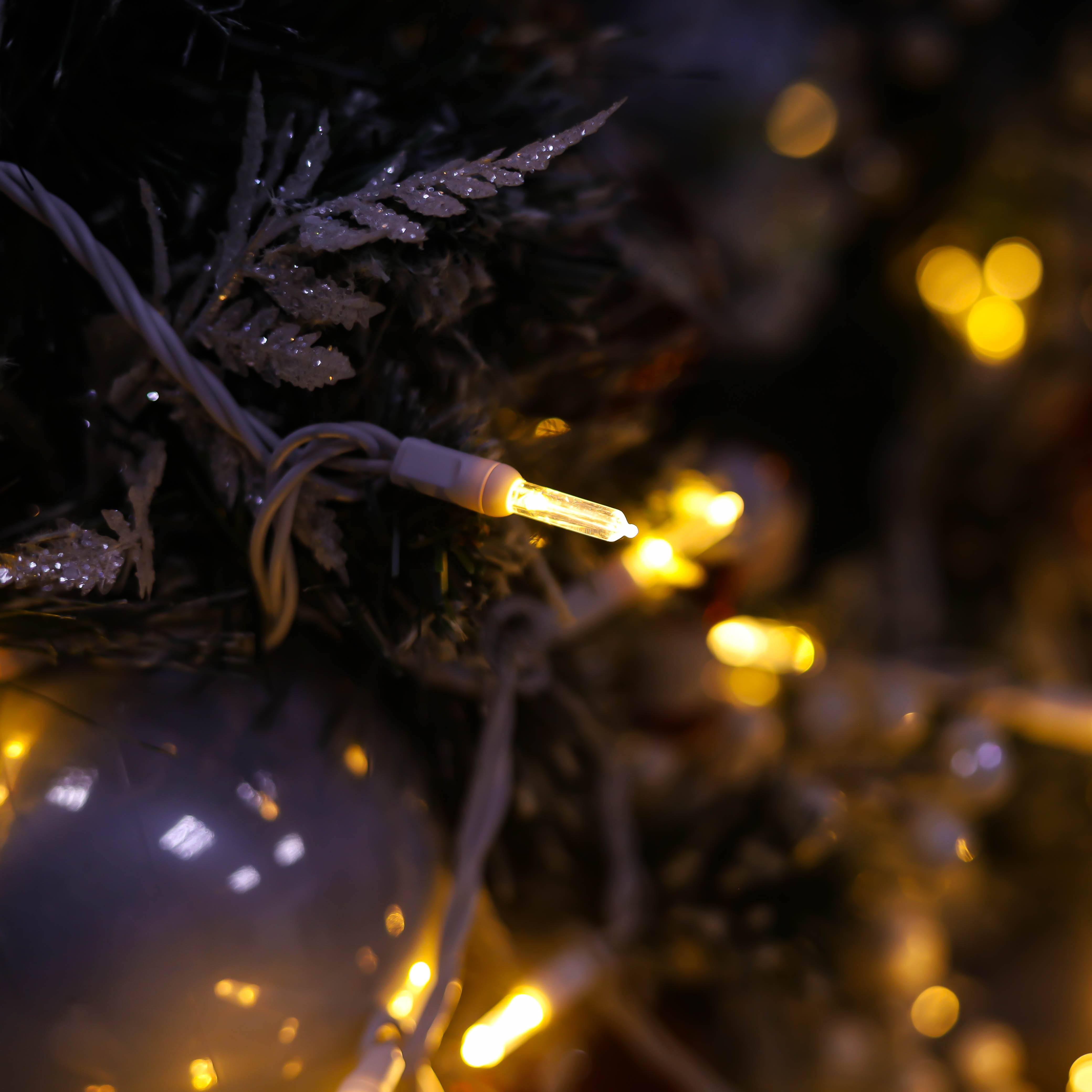 T5 Luci a LED di Natale White White White White