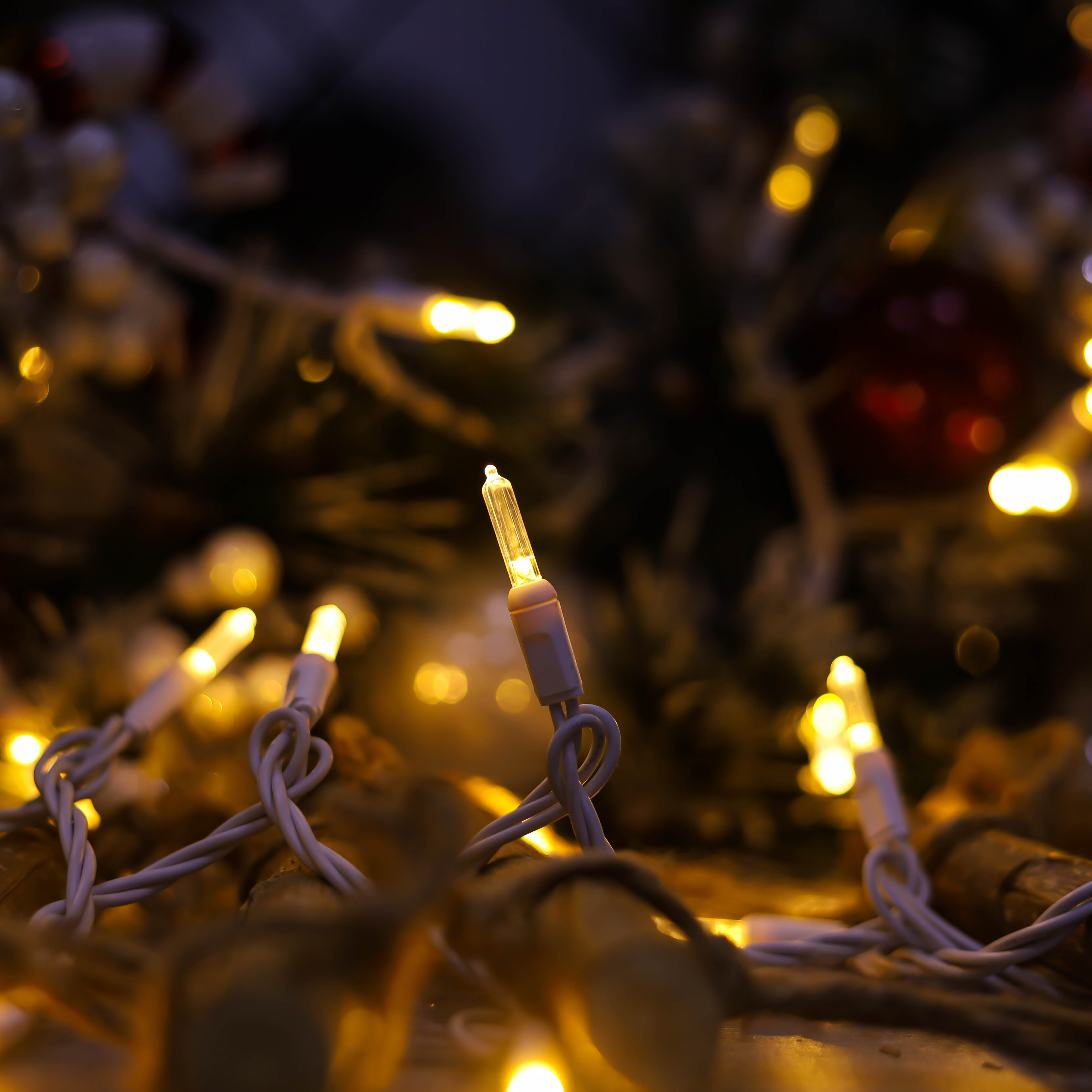 T5 Luci a LED di Natale White White White White