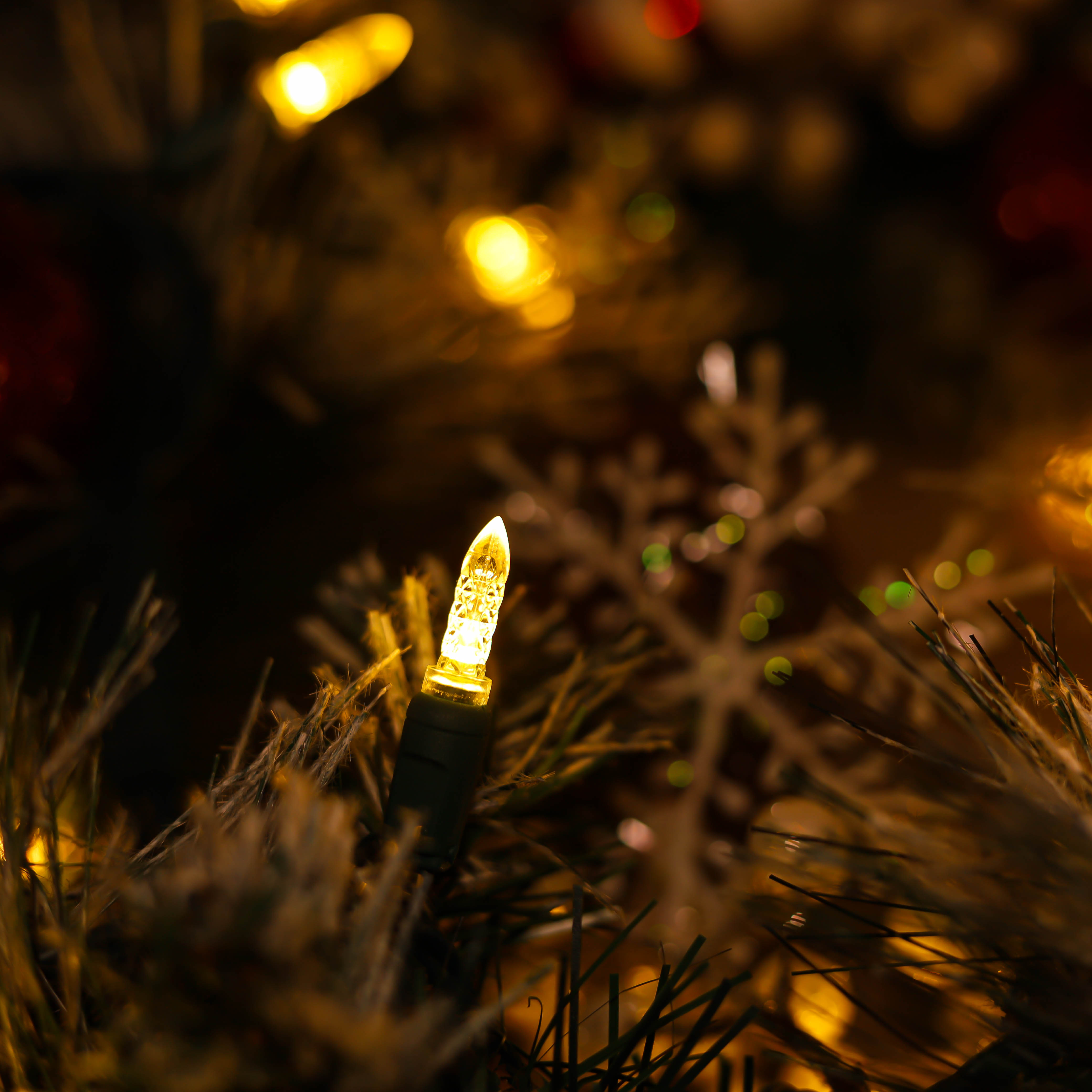 Luci natalizie a LED M5 bianche calde certificate UL