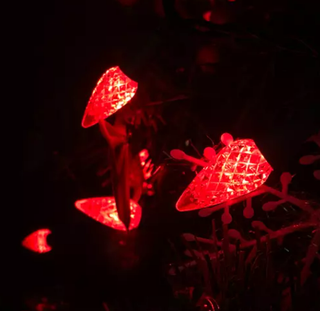 Solare vs. Catena luminosa plug-in: qual è quella giusta per te?